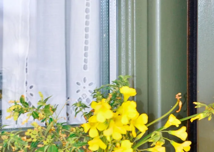 Ferienhaus Bluegonia