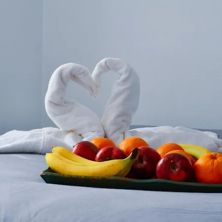 Bluegonia Éxo Goniá