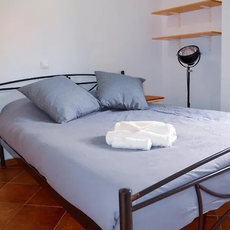 Bluegonia Éxo Goniá